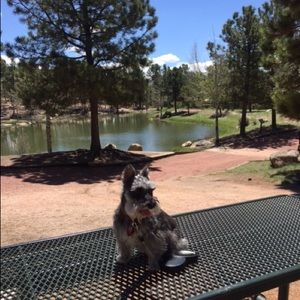 Meet your Posher, Meghsn